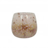 Pot rose coppra